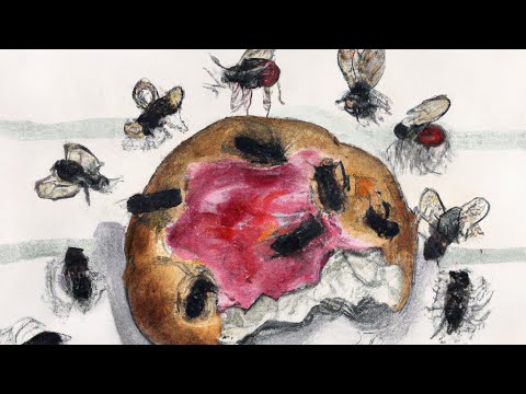 KHM 20 - Das tapfere Schneiderlein