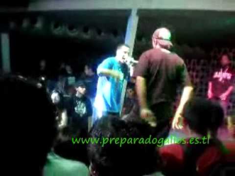 Jaloner VS Twister www preparadogallos es tl