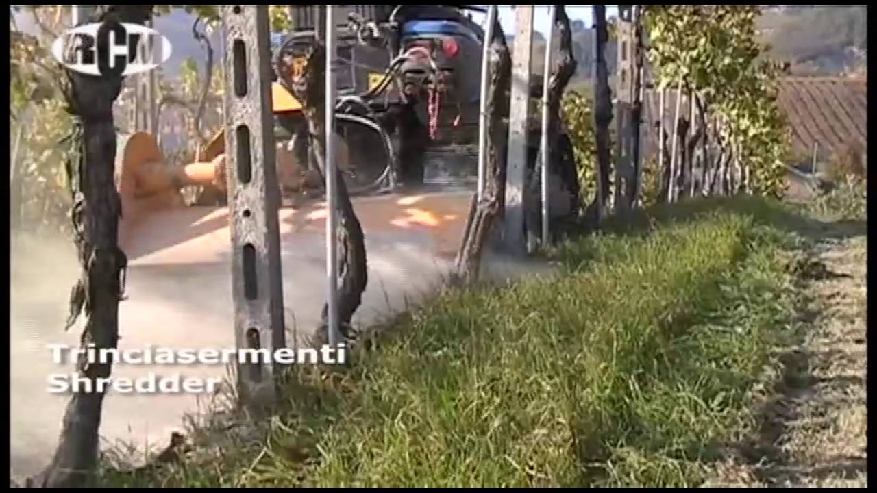 https://www.youtube.com/embed/U1TfNAmXgxA