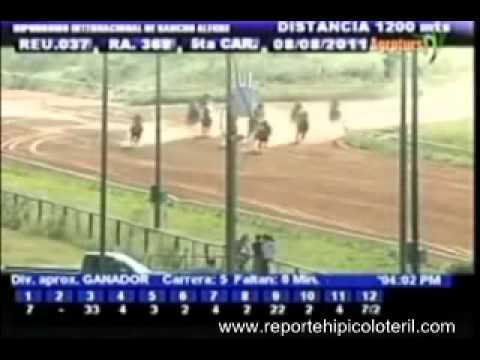 Resumen Lunes 08 de Agosto 2011 - Rancho Alegre
