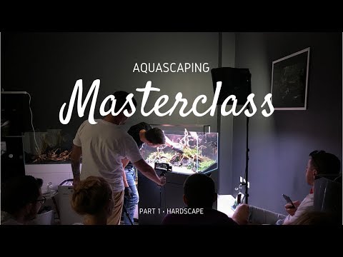 Aquascaping Masterclass | Step by Step Aquascape Tutorial - Part 1