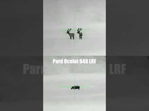 Pard Pantera 640 PA6-50 LRF Thermal Rifle Scope Review | Optics Trade Reviews
