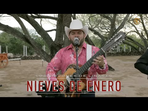 Los Viejones de Linares - Las Nieves de Enero