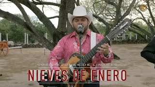 Los Viejones de Linares - Las Nieves de Enero (En Vivo 2020)