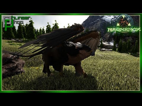 OPERATION: GRIFFIN - SOLO RAGNAROK!