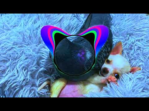 Alon feat. ХЛЕБ - Голубь (Runawaymuzic Remix)