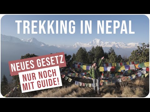 Der beste Anfänger Trek • Poon Hill (Travel Guide) | Nepal Backpacking