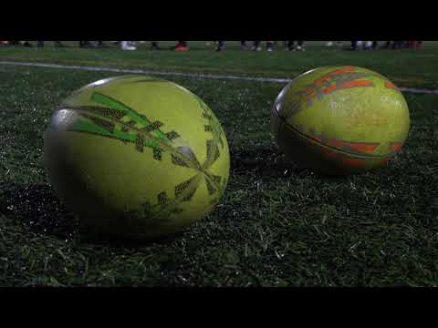 Lady Bears of Rugby Club Groningen - by Alex & Alex