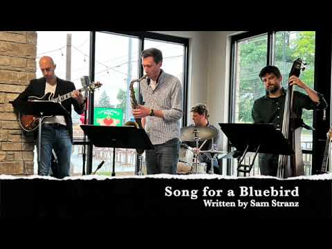 Song for a Bluebird - The Standard Collective