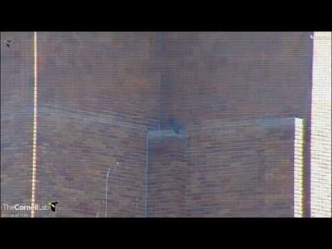 Cornell RTHA  'BR & EZ Subleasing Territory '  10:30 am   _9.06.13_