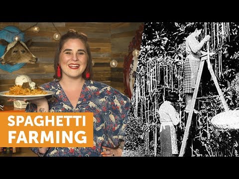 That Time Britain Thought Spaghetti Grew On Trees