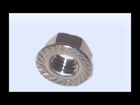 Hex Flange Nut