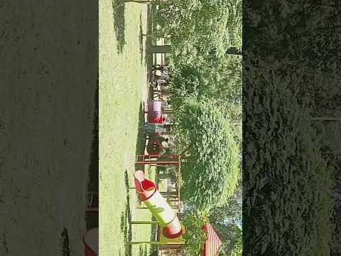 escuela de la clotilde chaco