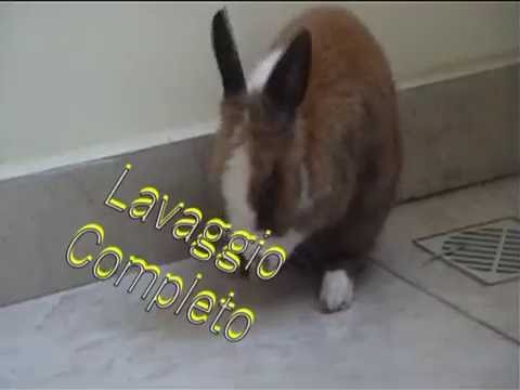 Il mitico Trudi  [vers.finale]