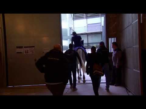 CSI5*-W Zurich 2018 / Kévin Staut & Silver Deux de Virton*HDC - Grand Prix 1,60m - manche 1