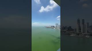 深圳湾海景大宅，华侨城开发，高品质小区，清盘活动，惊喜价，欢迎咨询