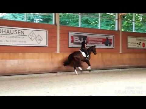 Don Frederic - Sandro Hit