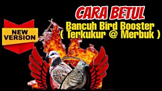 Download lagu CARA YANG BETUL GUNA BIRD BOOSTER ( TERKUKUR / MERBUK ) #terkukur #merbuk mp3