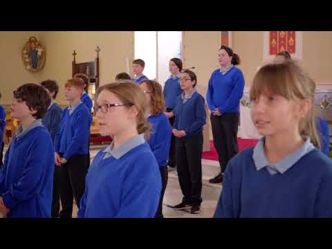 From the Shannon to St Rynagh's