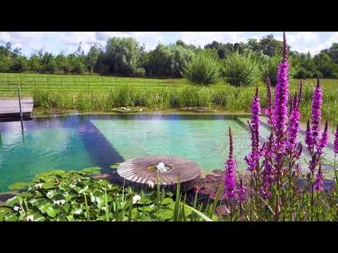Natural Swimming Pool in Lincolnshire