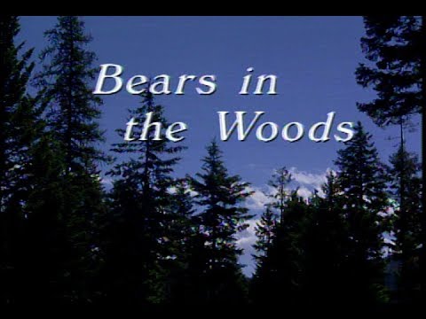 "Bears in the Woods" Homespun Holidays