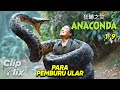 Anaconda Cursed Jungle 1 9 Snake Hunters Monster Movie Trailer ClipFlix