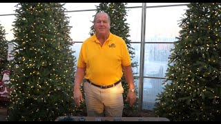 How to Use Indoor and Outdoor Timers on Your Christmas Lights ENGLISH GARDENS