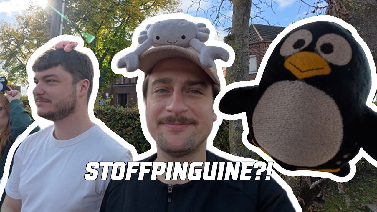 Video: Pinguine mal anderes!