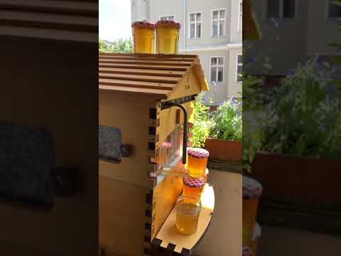 , title : 'Berlin balcony honey harvest'