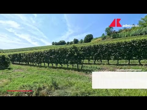 Qualità della vita in Italia, ecco la classifica 2025 di dove si vive meglio