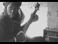 Ali Farka Touré - Pieter Botha