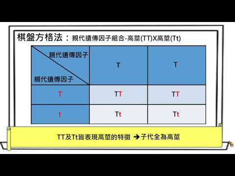 方格法