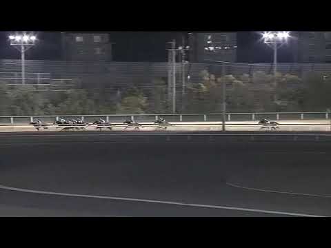 2020.02.12 Hochi Grand Prix Cup (JPN) - Salsa Dione