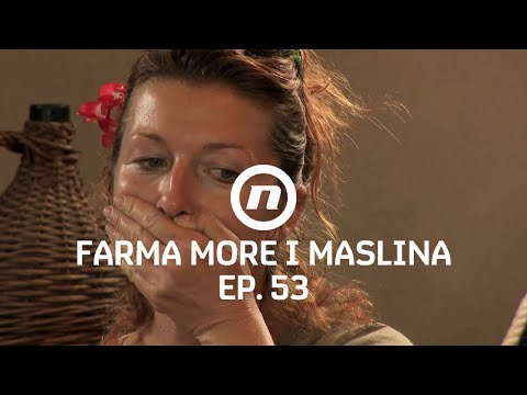 Biranje drugog mogućeg finaliste - Epizoda 53 | Farma More i Maslina