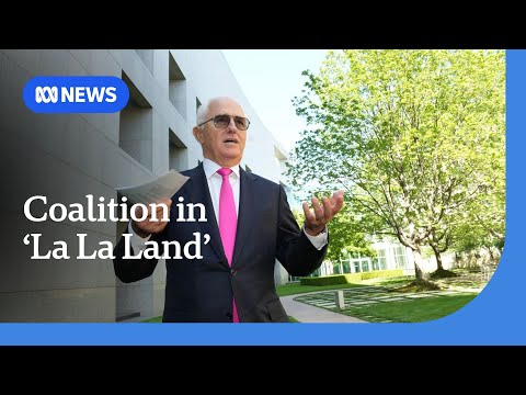 Coalition seeking approval from Sky News has drawn them into 'La La Land': Turnbull | ABC NEWS