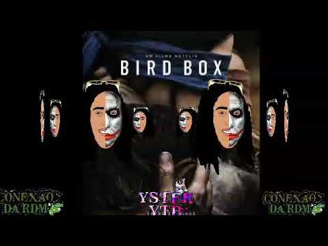 MC R10 - MODO BIRD BOX - ((R10 O PINTA))  2K19