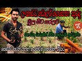 කුරුදු වගාව Kurudu Wagawa How Ceylon Cinnamon Grows Plantation Tour In Sri Lanka