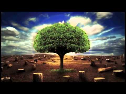 Entrepreneurial Declaration   Cindy Trimm