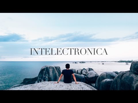 Bop feat. Synkro - Blurred Memories (Etherwood Remix)