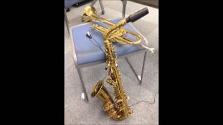 The Fuzz (aka. Split Quick) - Trumpet & Alto Saxophone Duo