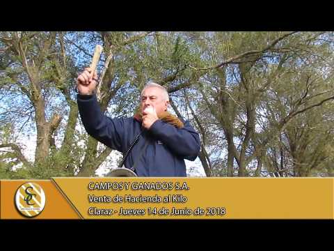 14-06-18 Venta de Hacienda al Kilo - Campos y Ganados S.A. - Claraz.