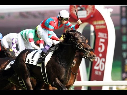 2013日本ダービー 東京優駿（G1）キズナ