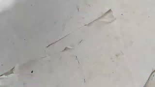 Vídeo de Radiador Srad 750 - Suzuki Gsx-r 750 2008