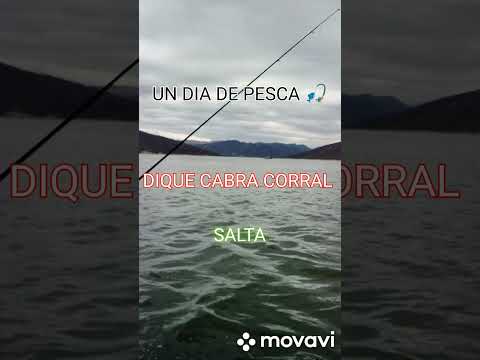 un día de pesca en el dique cabra corral ..coronel moldes salta #pesca