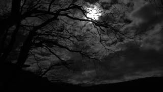 Nils Bech - John Olav Nilsen