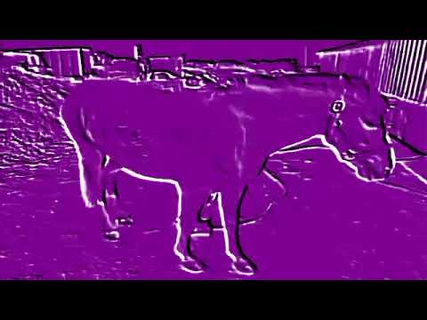 Teletubbies TV Emily Washing the Pony Date 18 September 1997