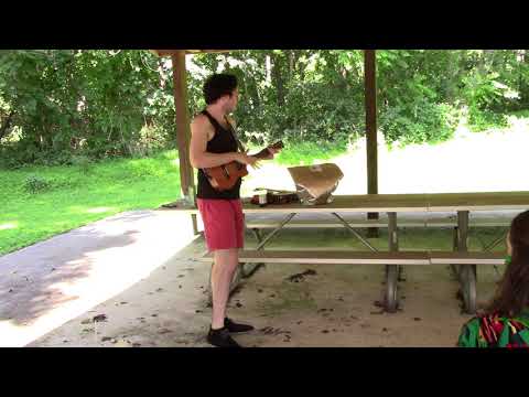 Will Wood Picnic - Outliars (8/10)