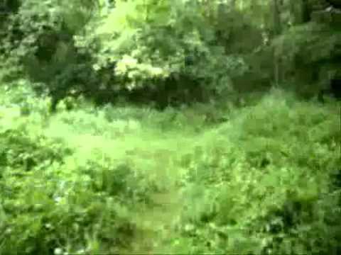 ZARACH BAAL THARAGH Han som reiste 2th version (BURZUM cover)