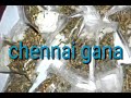Chennai Gana Settu Dammu Song