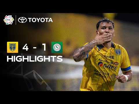 bg-highlight